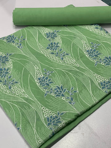 Bareeze 2pc lawn pista